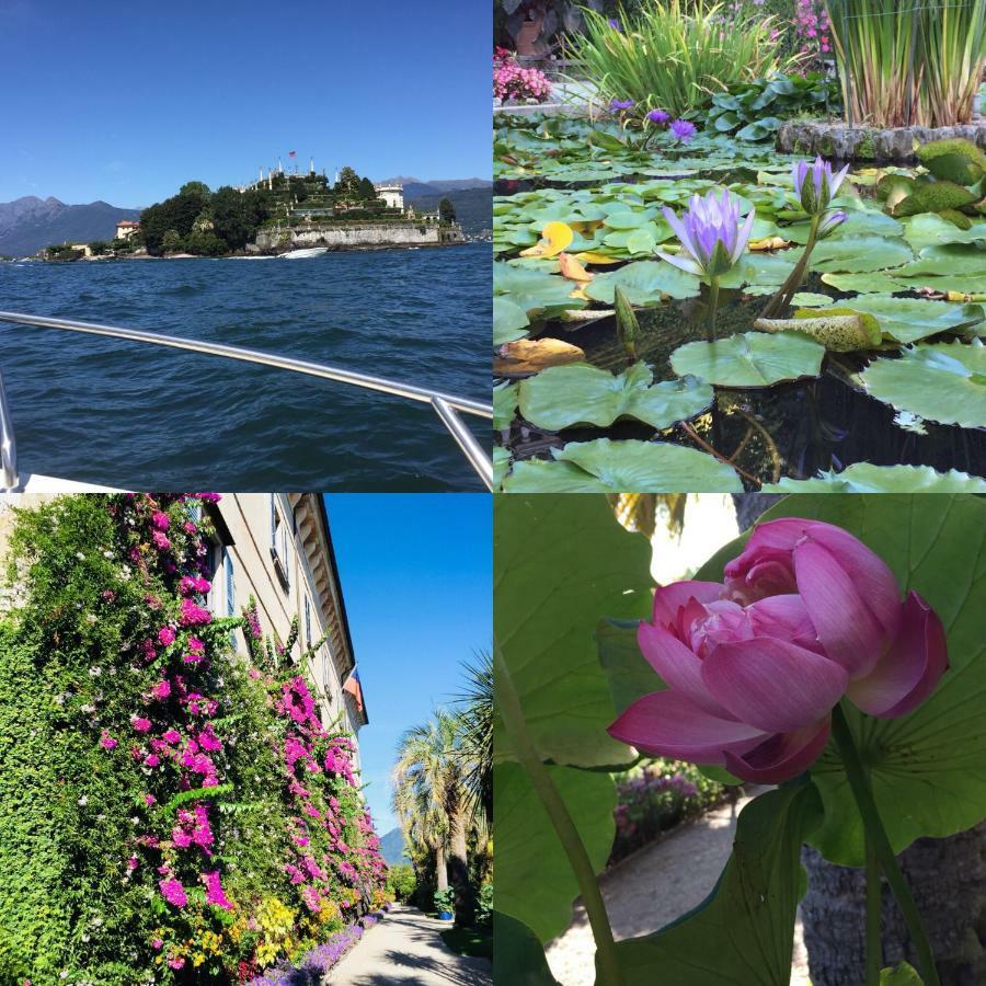 Lakeside Lago Maggiore Monvalle المظهر الخارجي الصورة